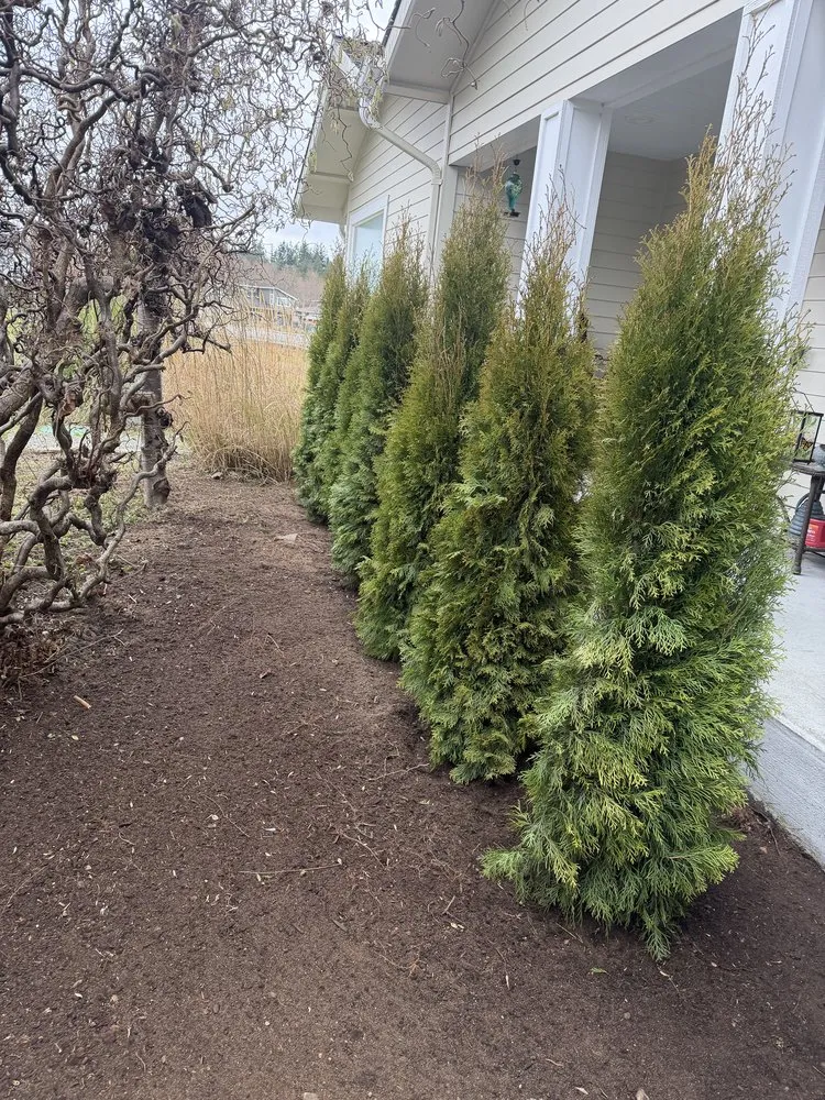 Affordable lawn care service for residential properties in Bremerton, WA by Spring Time & Landscape