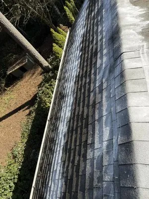 Spring Time & Landscape