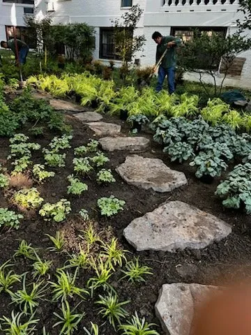 Top-rated lawn care service experts serving Frederick, MD - Spring Valley Landscaping