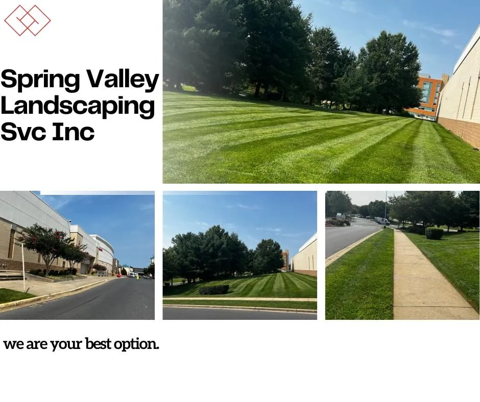 Expert landscape installation in Frederick, MD - Spring Valley Landscaping