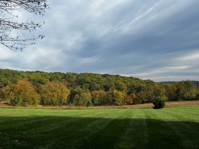 Affordable yard maintenance with custom design in Frederick, MD by Spring Valley Landscaping