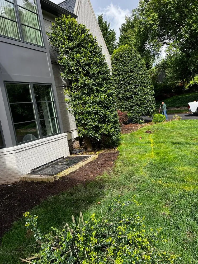 Local yard cleanup service with custom design in Frederick, MD by Spring Valley Landscaping