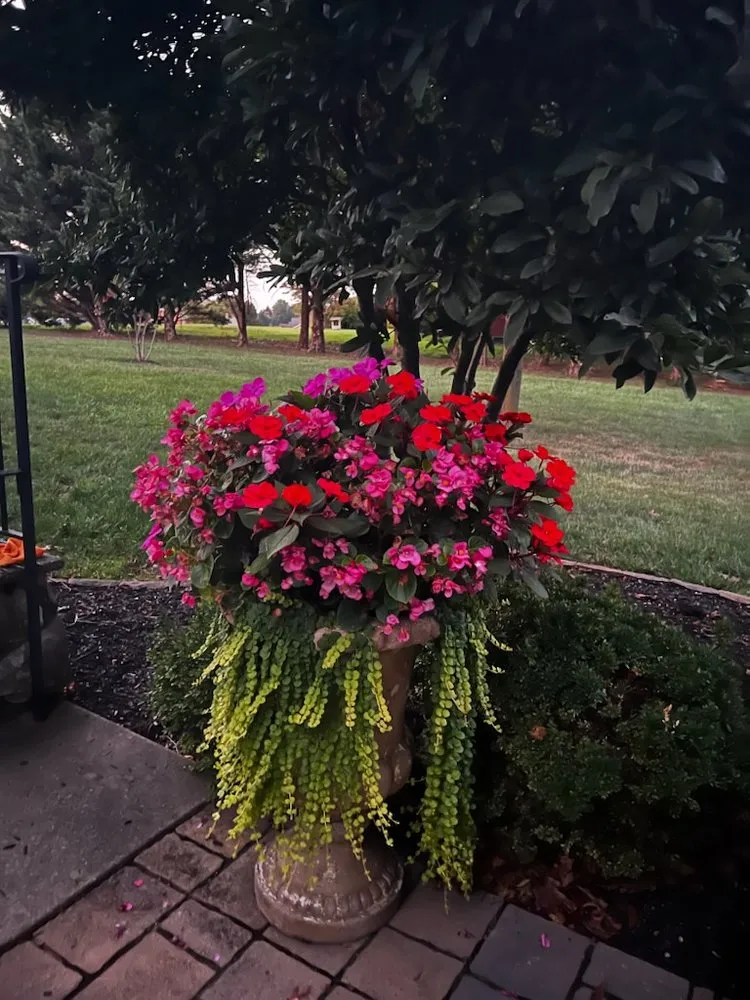 Custom yard cleanup service experts serving Frederick, MD - Spring Valley Landscaping