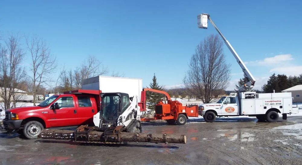Custom yard cleanup service in Wellsville, PA by Spring Valley Tree Service