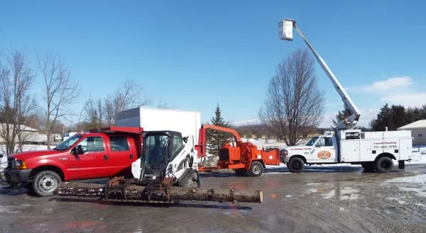 Spring Valley Tree Service