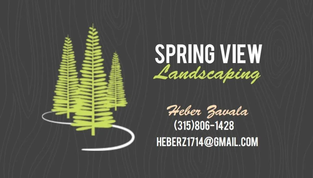 Expert lawn care service near you across Fulton, NY - Spring view