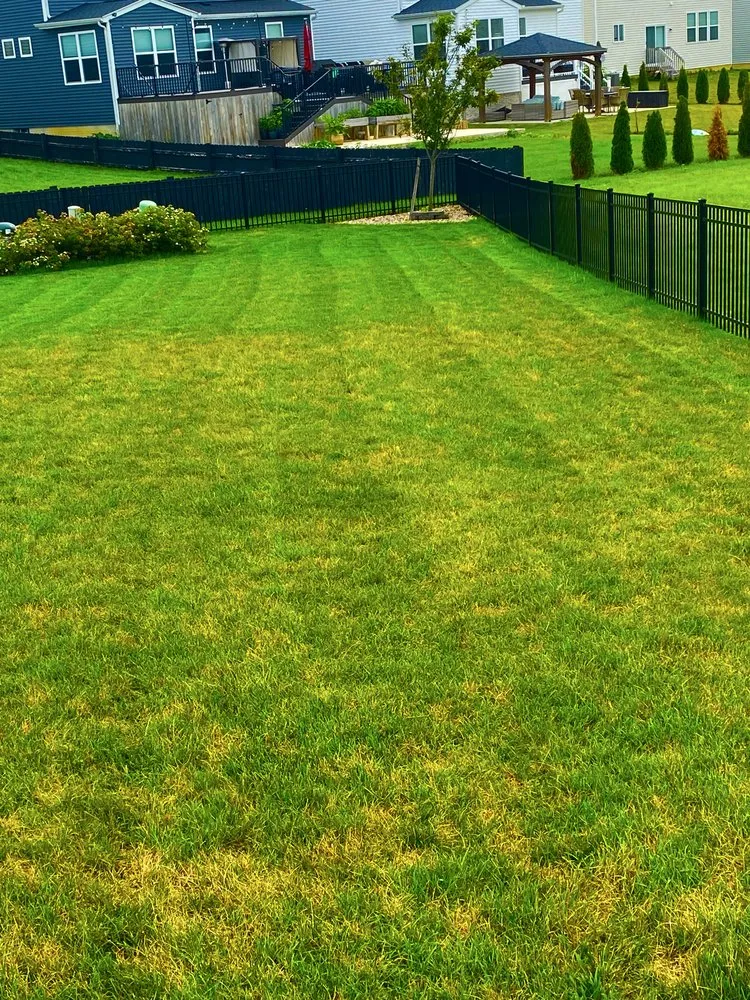 Expert landscape installation experts serving Westerville, OH - Spring Views Lawn Care
