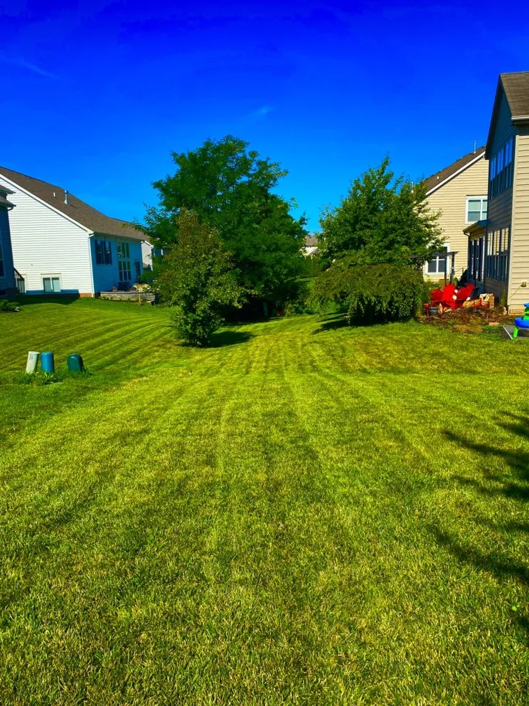 Affordable landscaping services with custom design across Westerville, OH - Spring Views Lawn Care