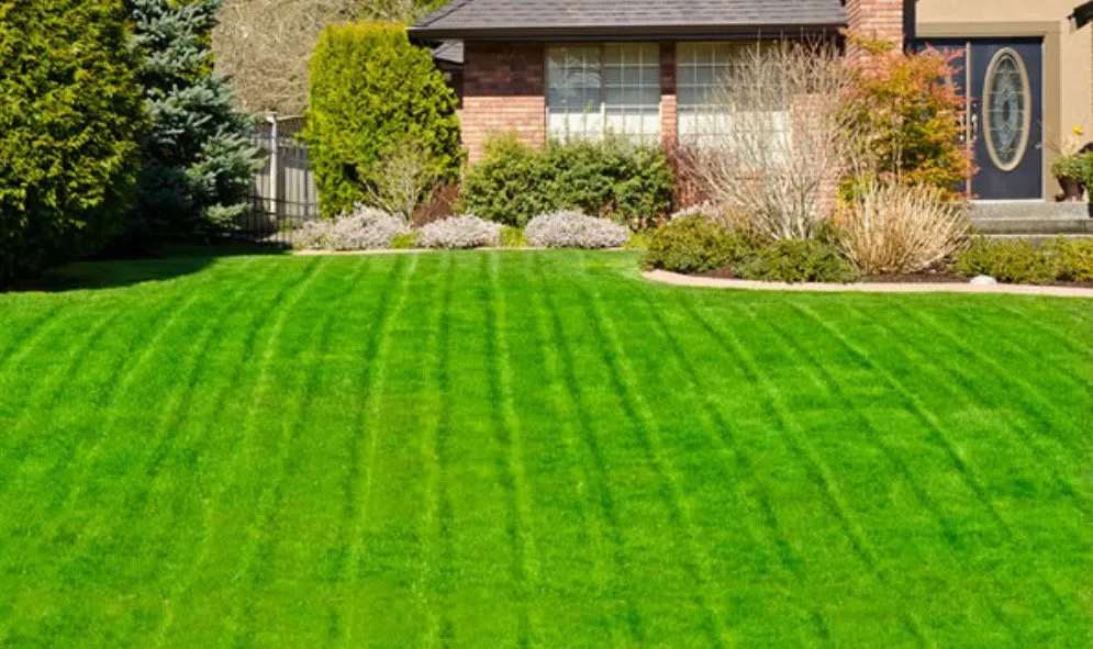 Reliable lawn care service for homes across Westerville, OH - Spring Views Lawn Care