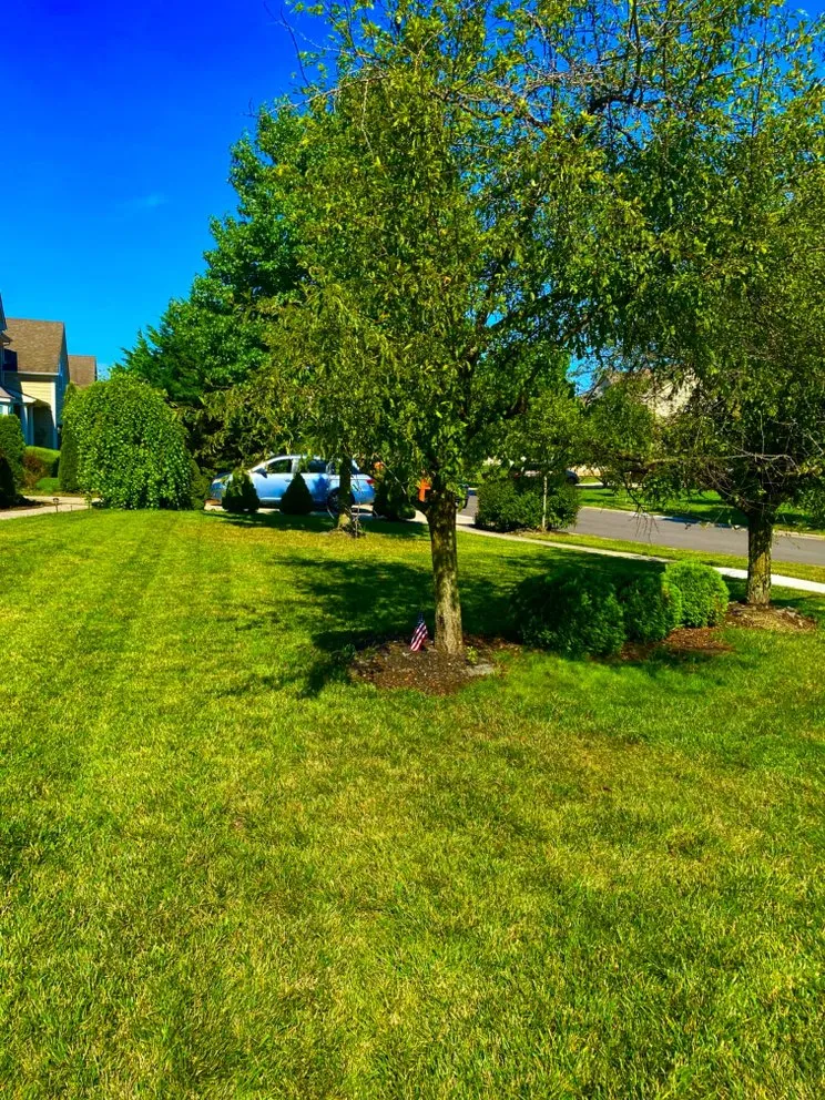 Affordable yard cleanup service in Westerville, OH - Spring Views Lawn Care
