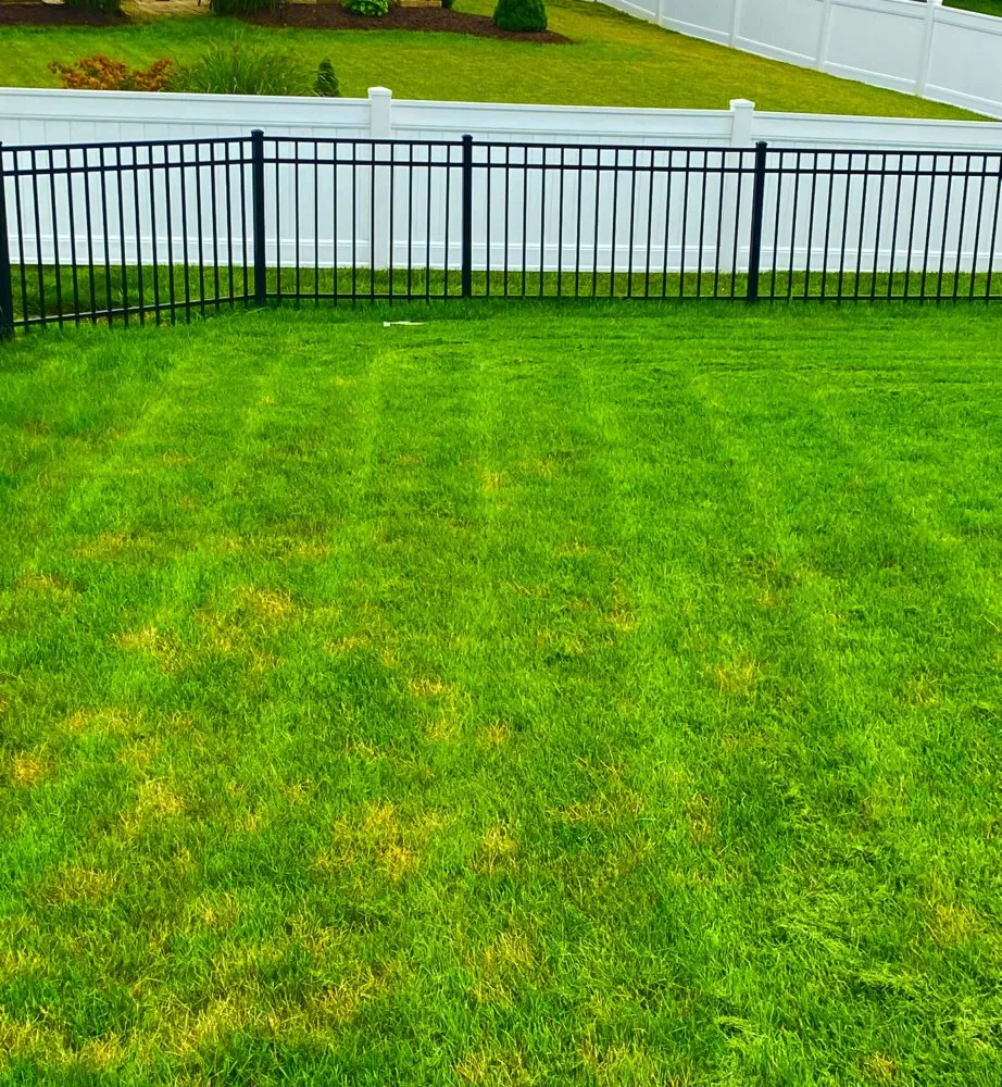 Local lawn mowing service near you across Westerville, OH - Spring Views Lawn Care