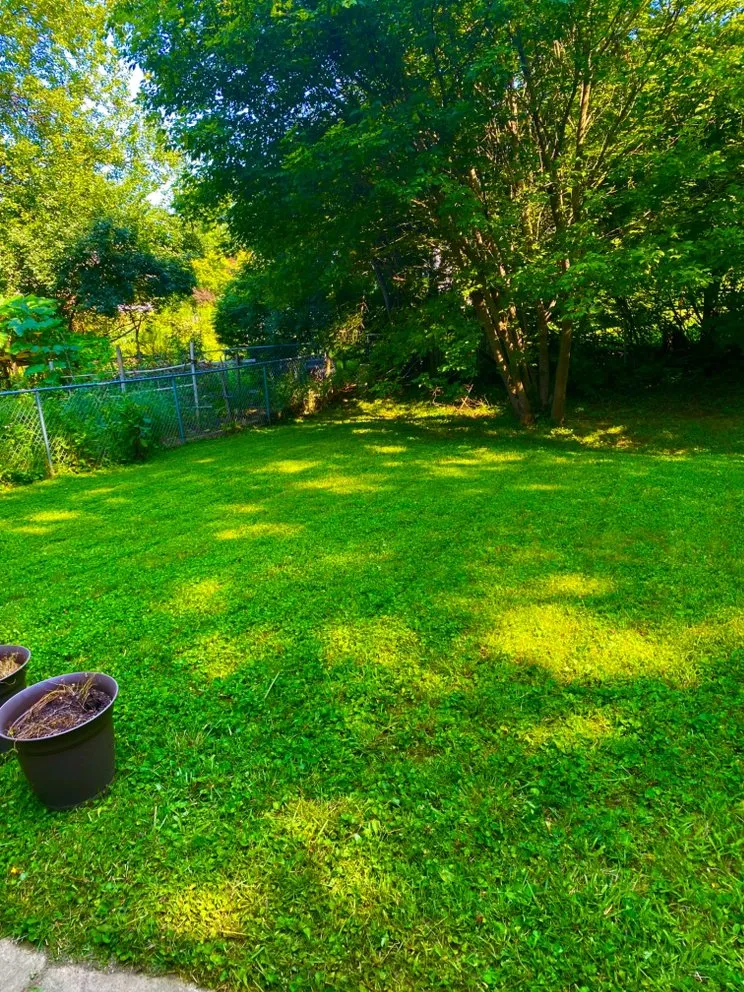 Professional landscaping services for year-round maintenance in Westerville, OH by Spring Views Lawn Care