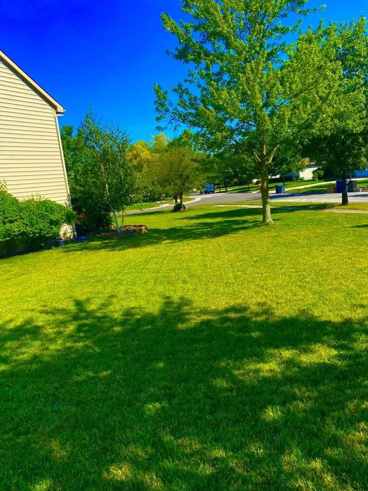 Local landscaping services for residential properties in Westerville, OH by Spring Views Lawn Care