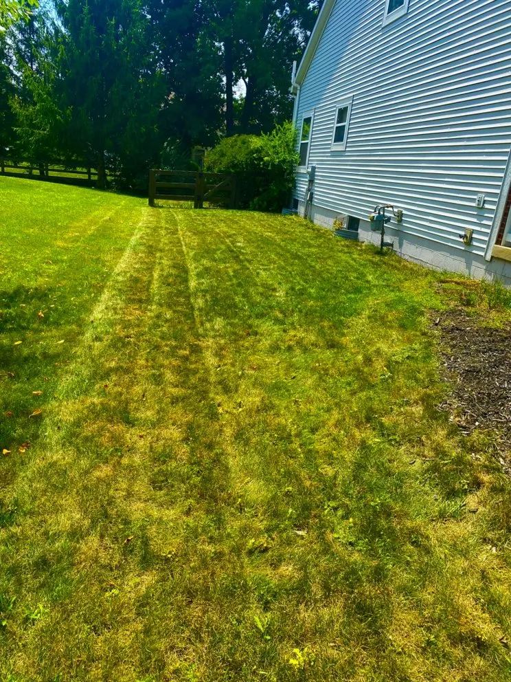 Top-rated outdoor landscaping for residential properties across Westerville, OH - Spring Views Lawn Care