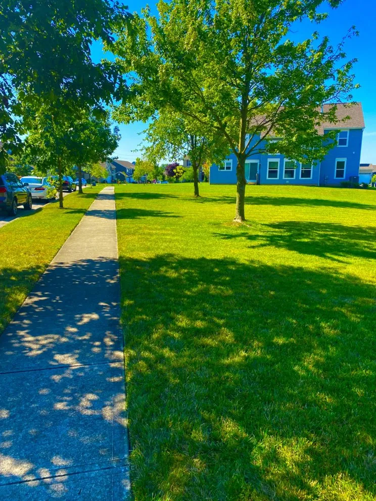 Expert lawn mowing service in Westerville, OH - Spring Views Lawn Care