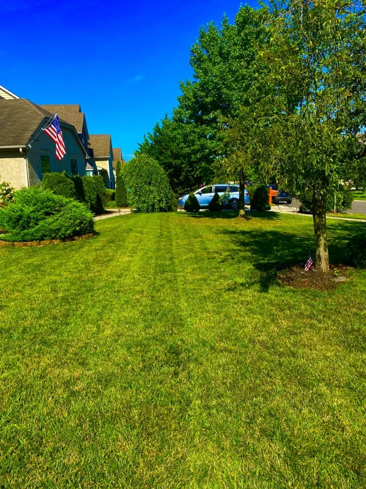 Expert lawn care service for beautiful yards across Westerville, OH - Spring Views Lawn Care