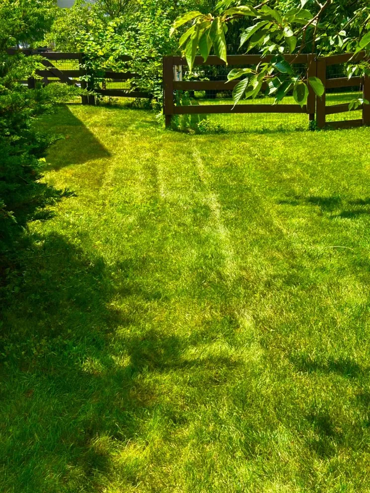 Expert landscape installation for homes across Westerville, OH - Spring Views Lawn Care