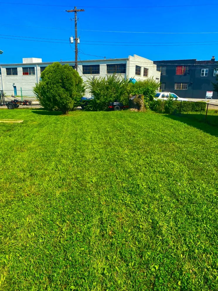 Professional landscaping services in Westerville, OH - Spring Views Lawn Care