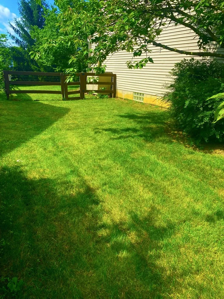 Affordable yard maintenance with custom design across Westerville, OH - Spring Views Lawn Care