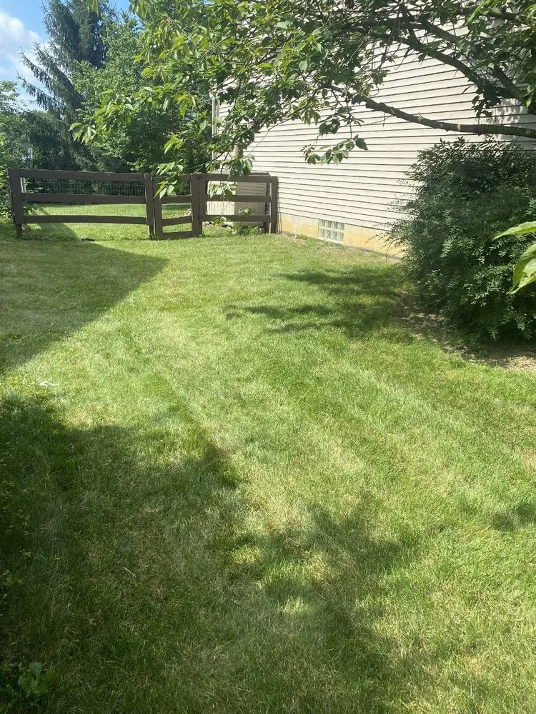Custom landscaping services experts serving Westerville, OH - Spring Views Lawn Care