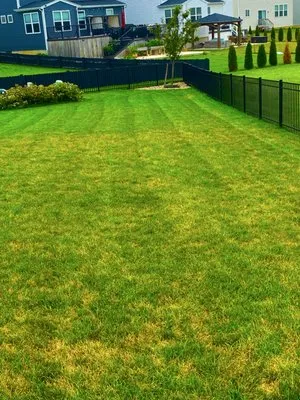 Spring Views Lawn Care Logo