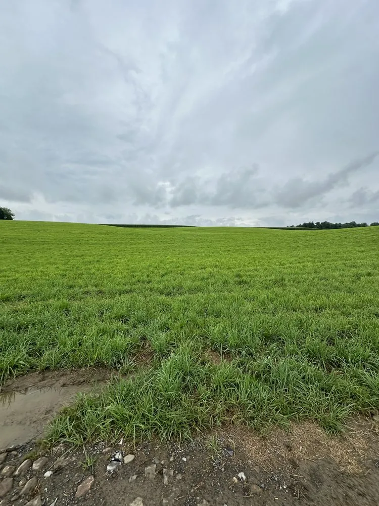 Top-rated outdoor landscaping in Genoa, NY by Spring Water Farm Mowing
