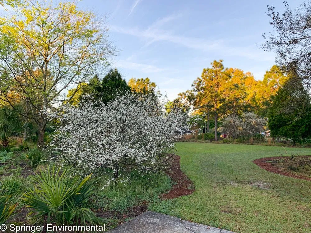 Custom garden landscaping in Plant City, FL - Springer Environmental Services