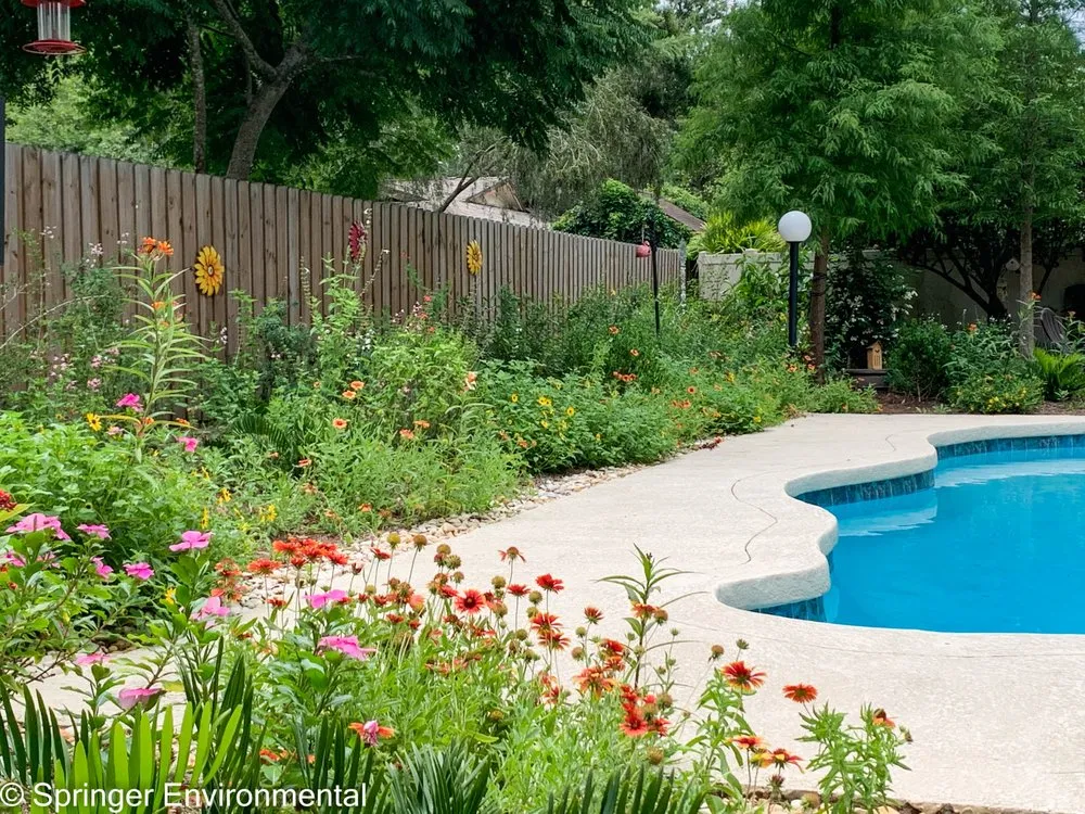 Reliable yard maintenance in Plant City, FL - Springer Environmental Services