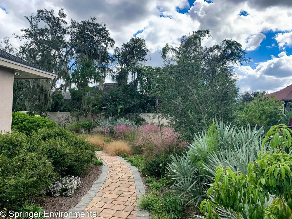 Expert lawn care service experts serving Plant City, FL - Springer Environmental Services