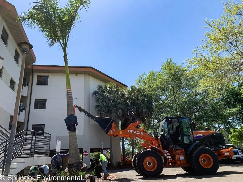 Top-rated lawn care service for outdoor upgrades in Plant City, FL by Springer Environmental Services