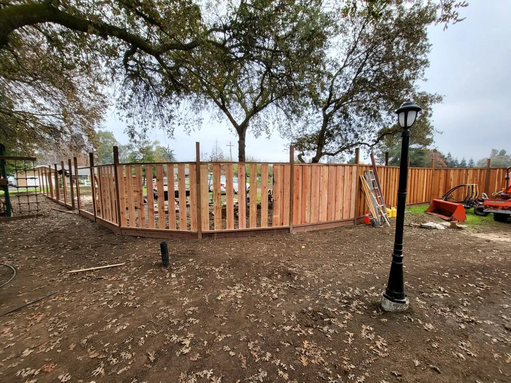 Local yard cleanup service in Stockton, CA by Springer Landscaping