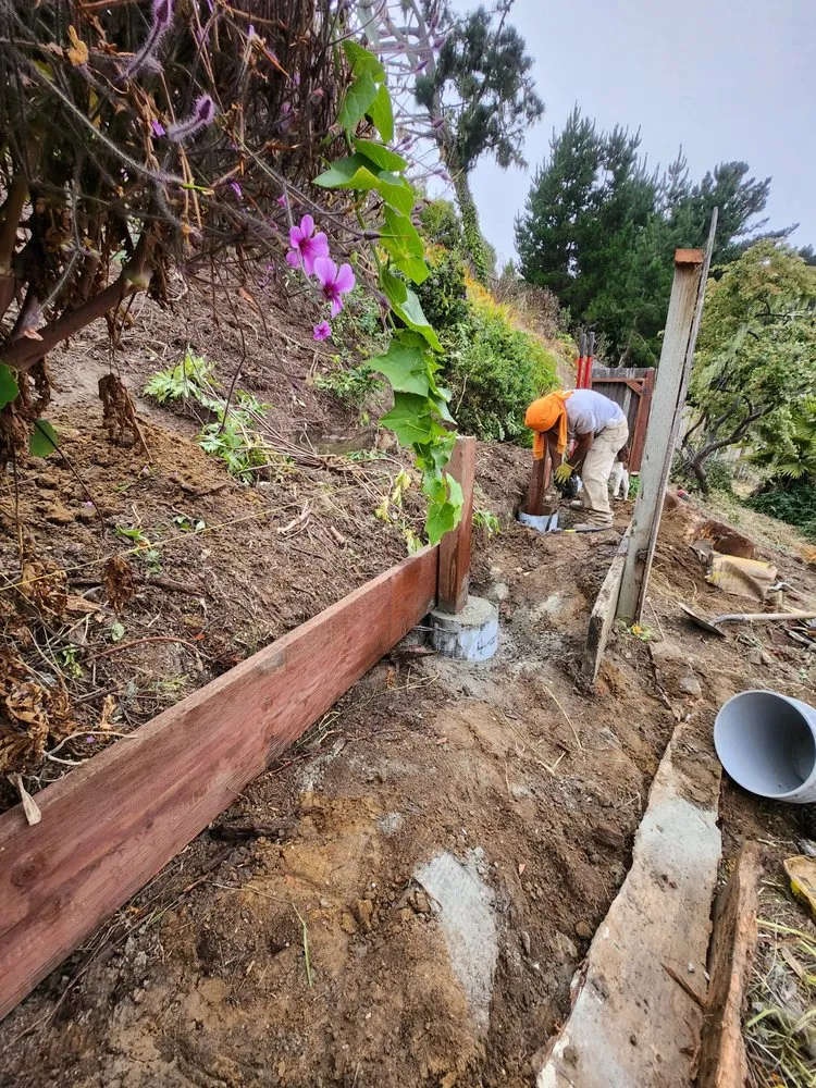 Affordable garden landscaping in Stockton, CA by Springer Landscaping