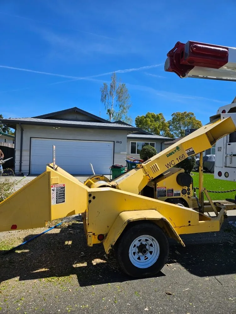 Affordable landscaping services experts serving Stockton, CA - Springer Landscaping