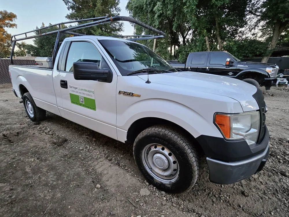 Affordable landscape design for year-round maintenance in Stockton, CA by Springer Landscaping