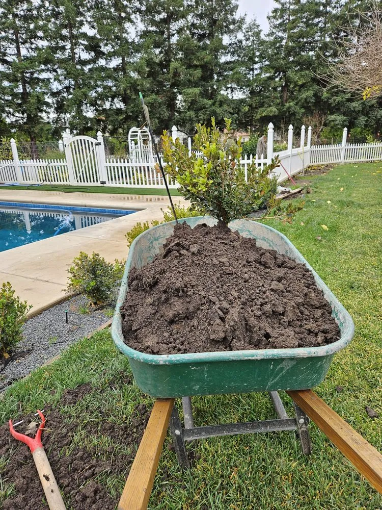 Expert garden landscaping for residential properties in Stockton, CA by Springer Landscaping