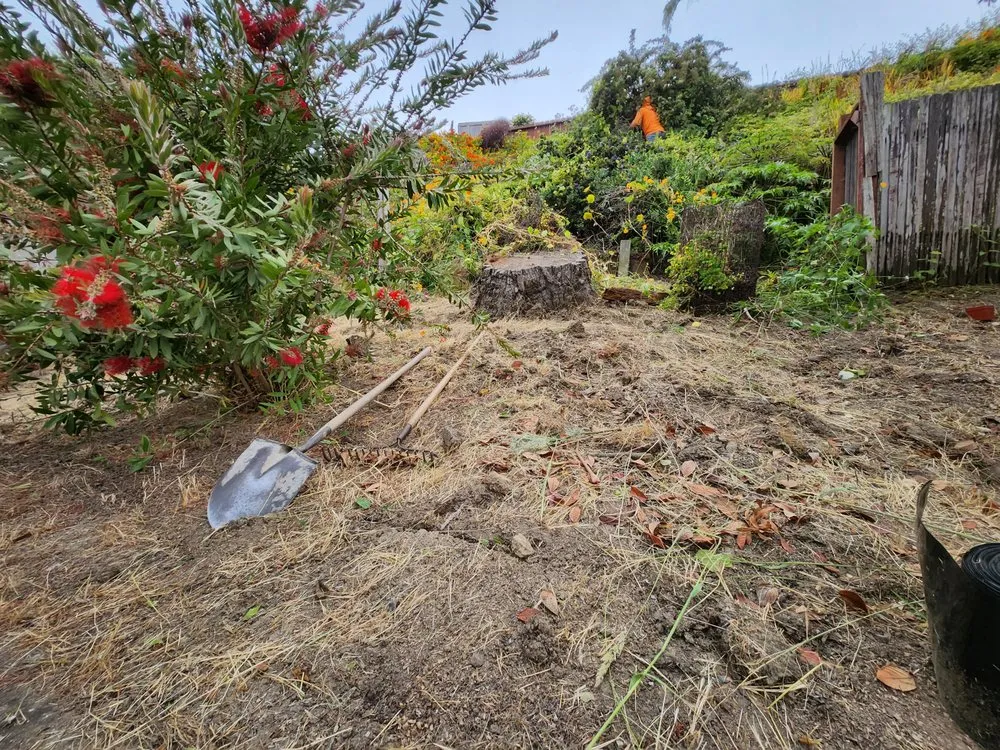 Affordable landscape installation for residential properties in Stockton, CA by Springer Landscaping