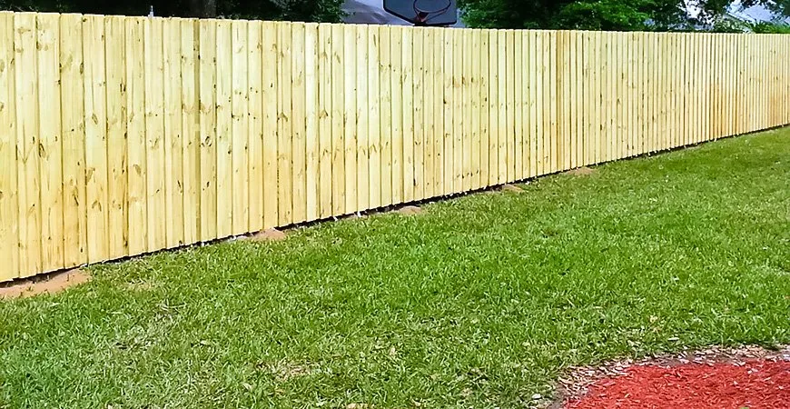 Affordable lawn care service in Denton, TX by Springer Lawn Care