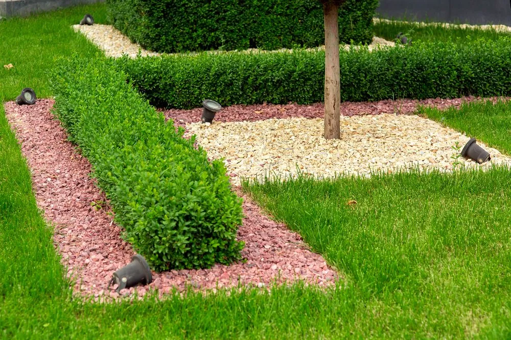 Reliable yard maintenance for beautiful yards in Denton, TX by Springer Lawn Care