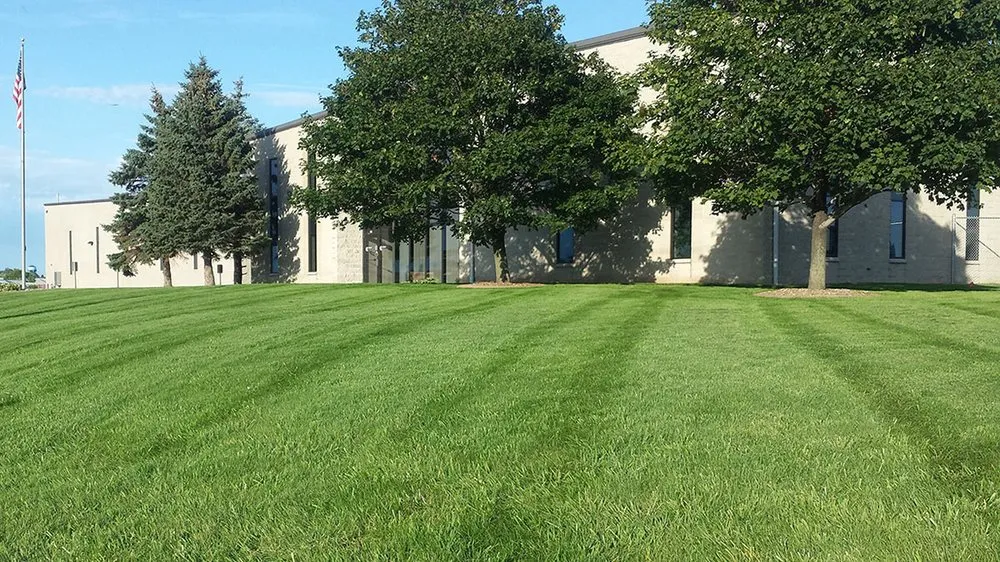 Affordable yard cleanup service experts serving Denton, TX - Springer Lawn Care