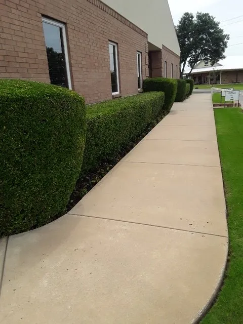 Professional landscape installation experts serving Denton, TX - Springer Lawn Care