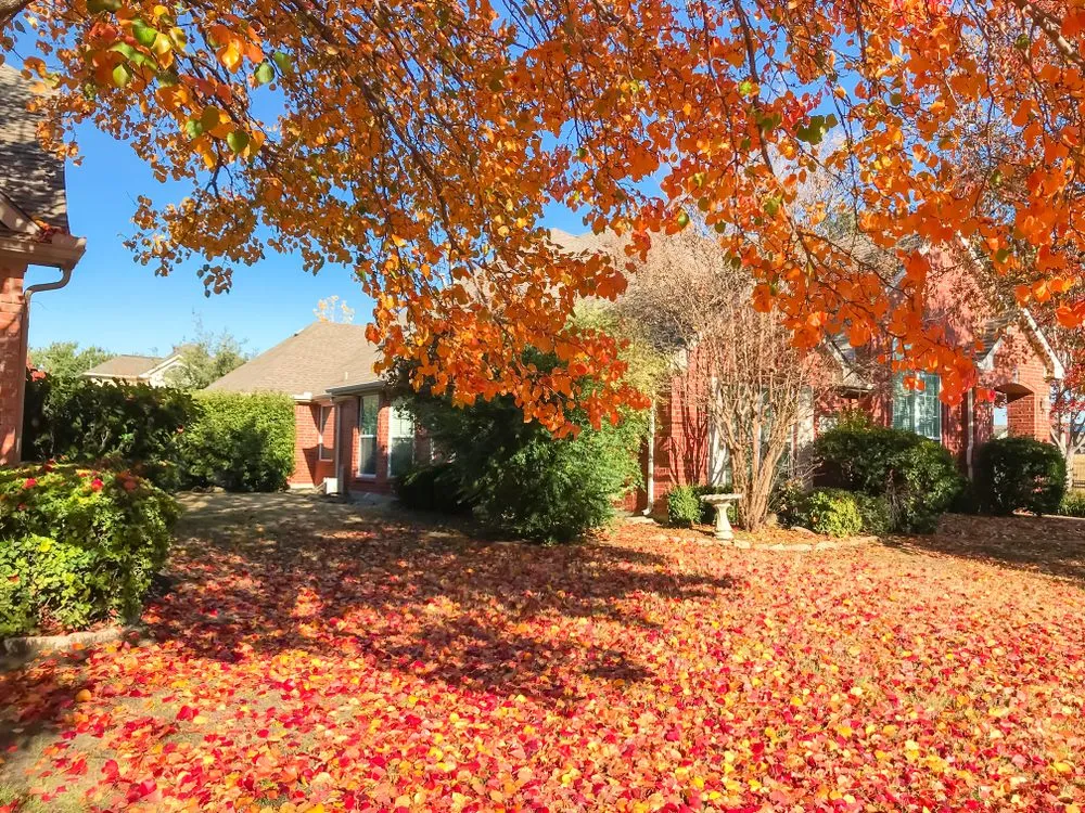 Expert lawn mowing service for homes in Denton, TX by Springer Lawn Care