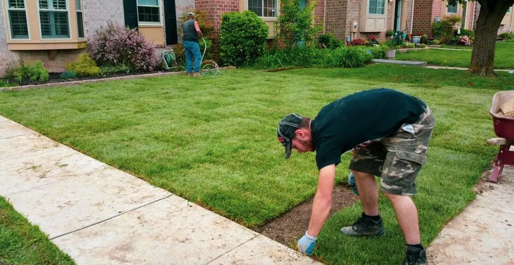 Professional landscaping services in Denton, TX by Springer Lawn Care