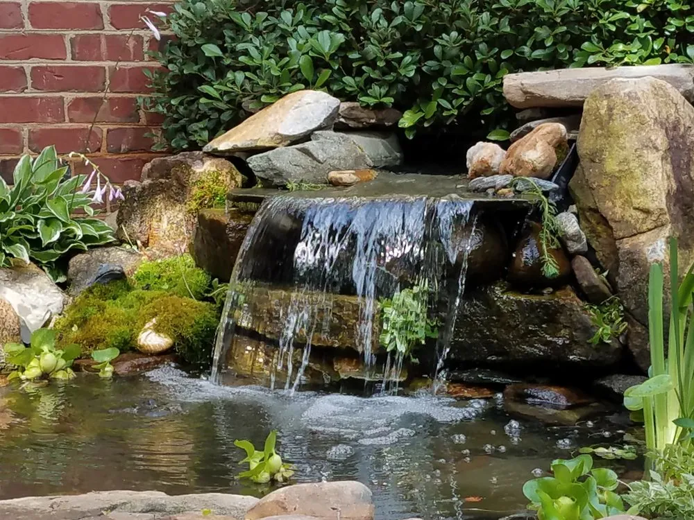 Reliable lawn mowing service for year-round maintenance across Youngsville, NC - Springer Ponds and Water Gardens