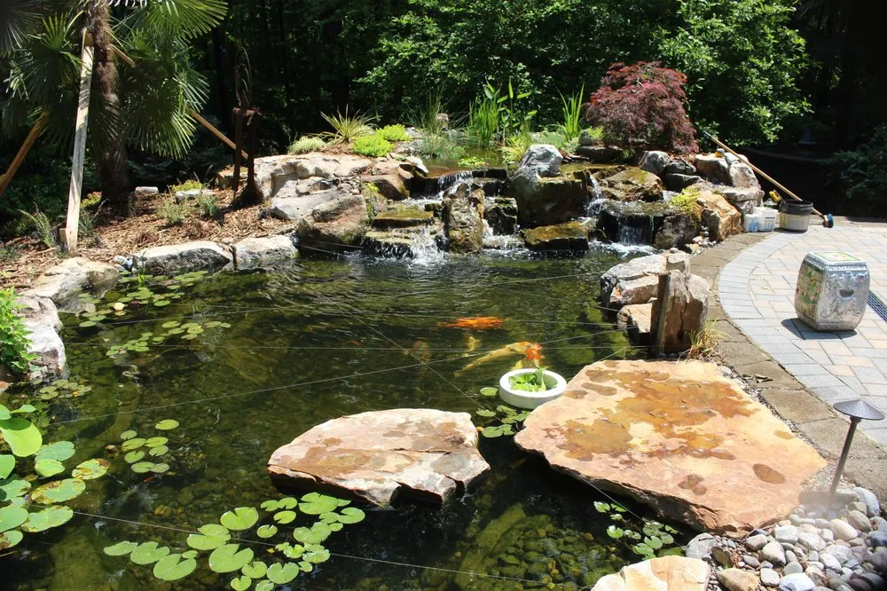 Professional lawn mowing service in Youngsville, NC - Springer Ponds and Water Gardens