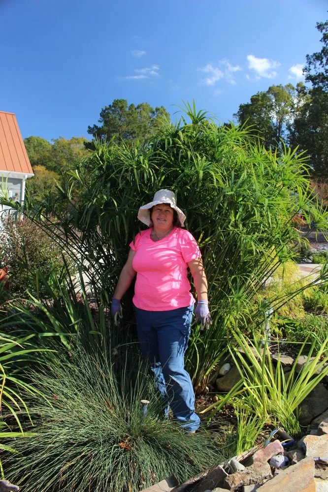 Custom lawn care service for homes in Youngsville, NC by Springer Ponds and Water Gardens