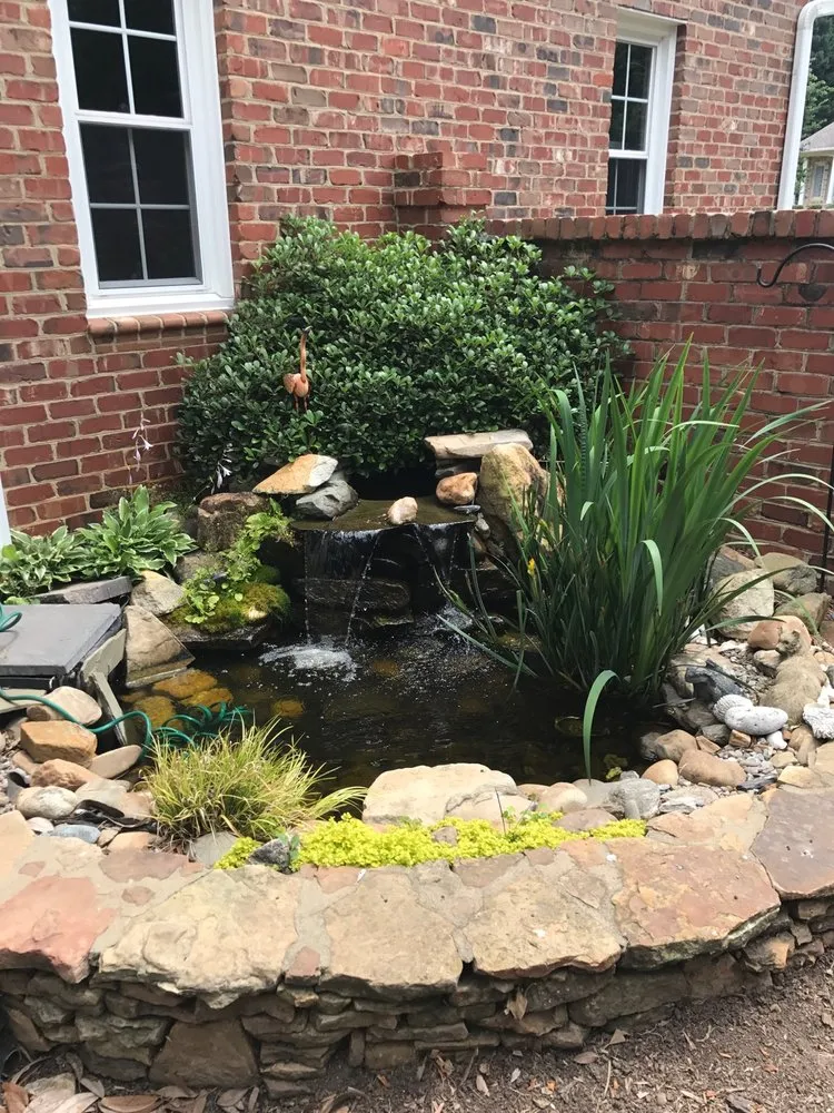 Professional yard maintenance for residential properties across Youngsville, NC - Springer Ponds and Water Gardens