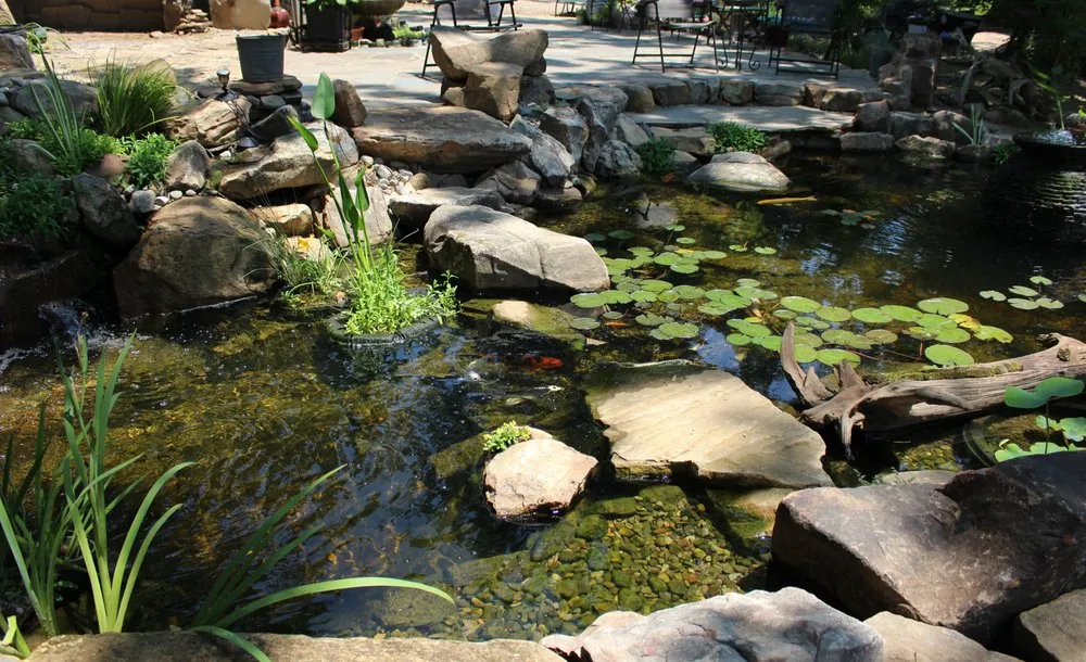 Custom landscape installation for beautiful yards across Youngsville, NC - Springer Ponds and Water Gardens