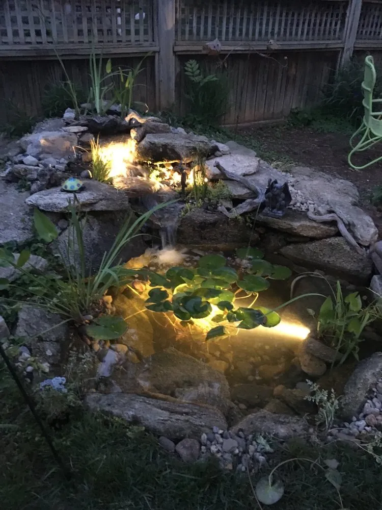 Top-rated yard cleanup service with custom design across Youngsville, NC - Springer Ponds and Water Gardens