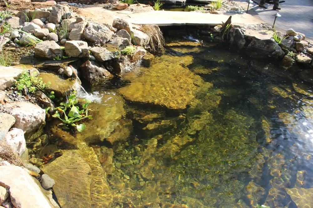 Custom landscape installation in Youngsville, NC by Springer Ponds and Water Gardens