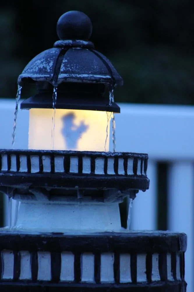 Custom lawn mowing service in Youngsville, NC - Springer Ponds and Water Gardens